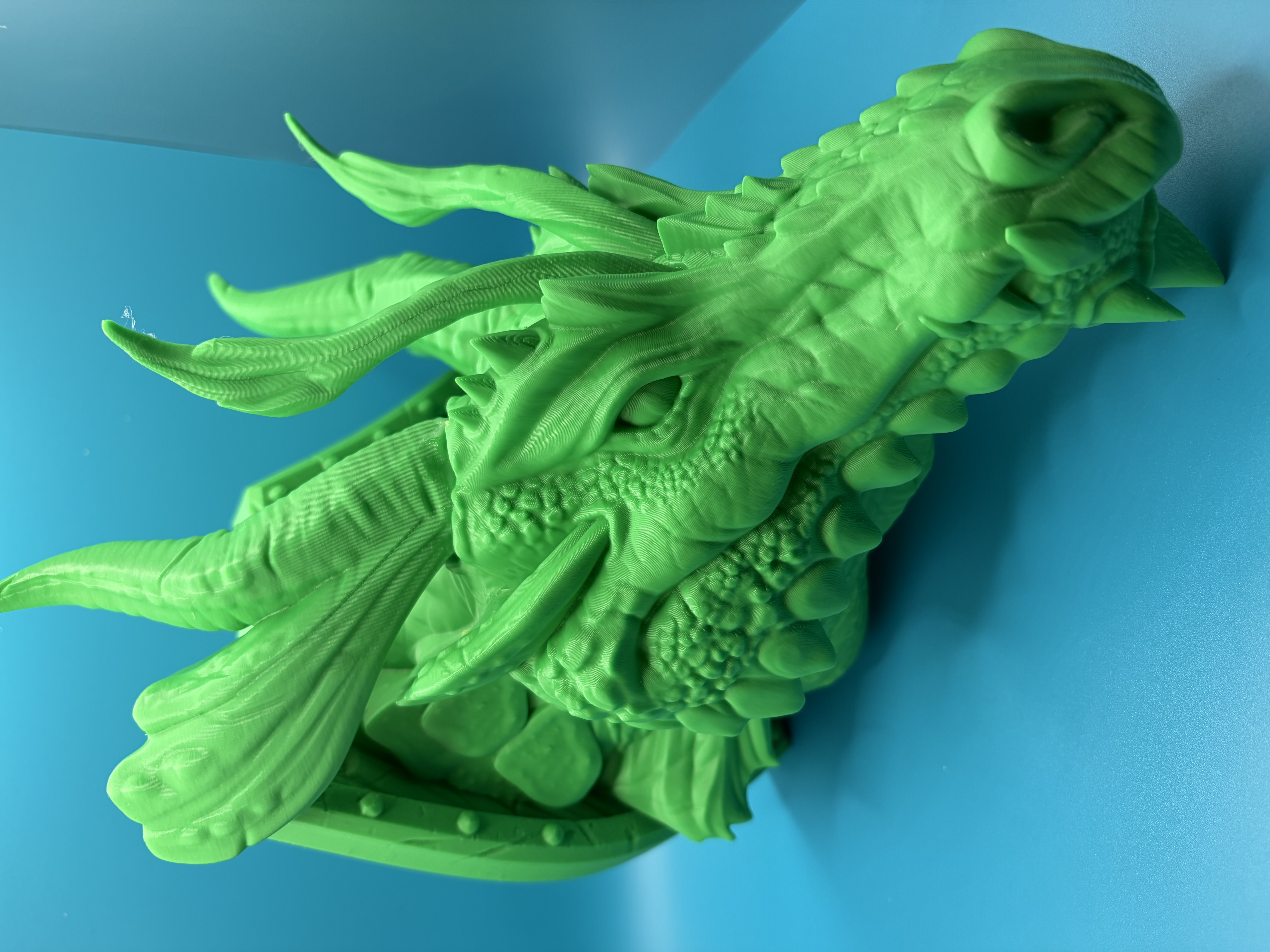 3D Printed Wall Mounted Dragon