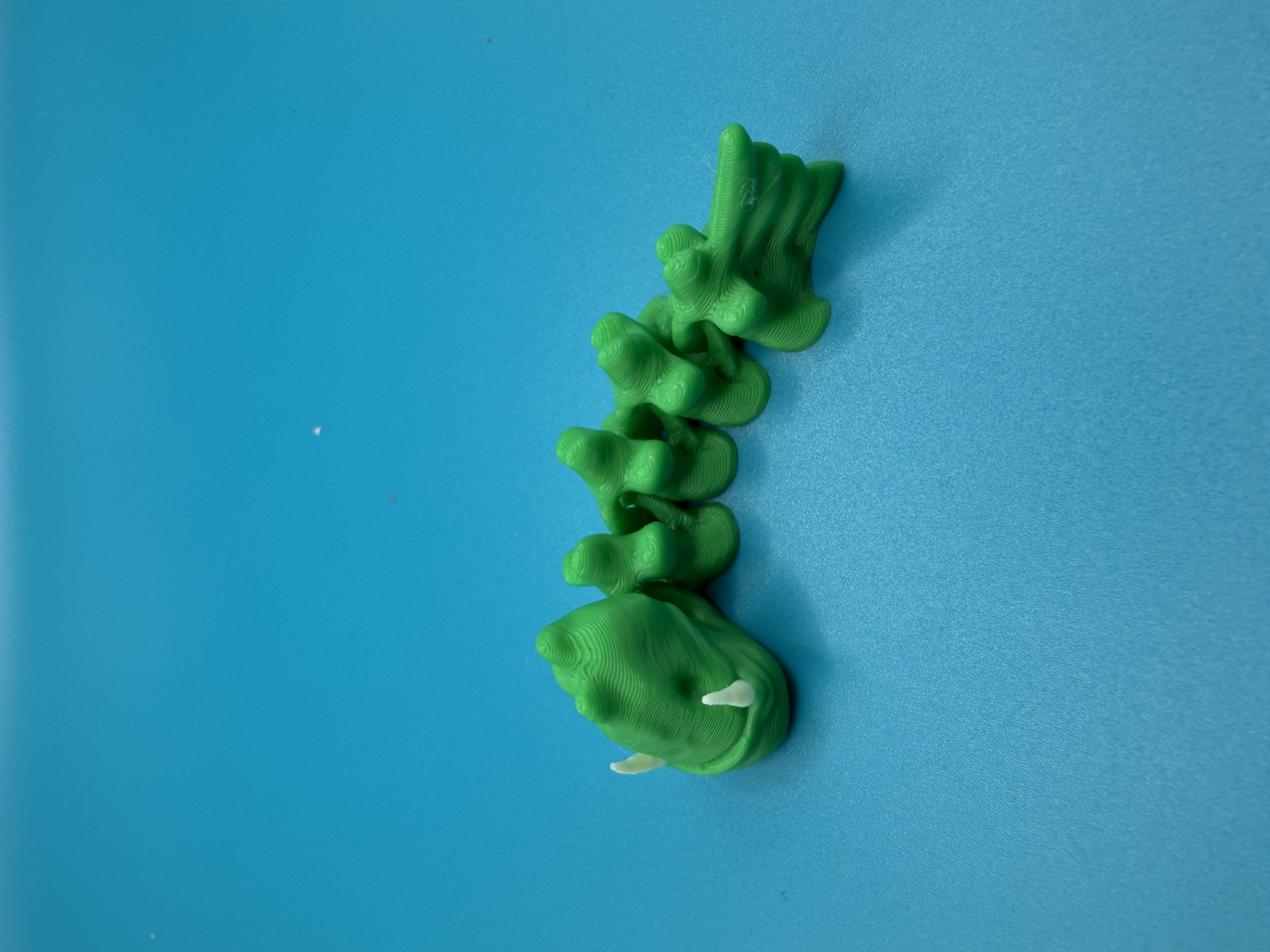 3D Printed Articulated Animal Toy Sabre Fish – Flexible Fidget Figures
