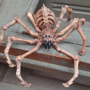 3D Printed Halloween Articulated Flexi Skeleton Spider - Choice Of Colours